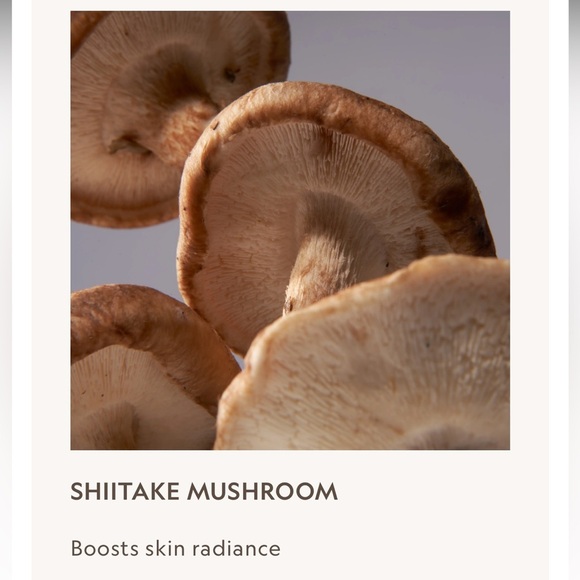 NIB Tone Up Primer - Essential Glow w/ 8 SuperBlacks Essence - Picture 11 of 11